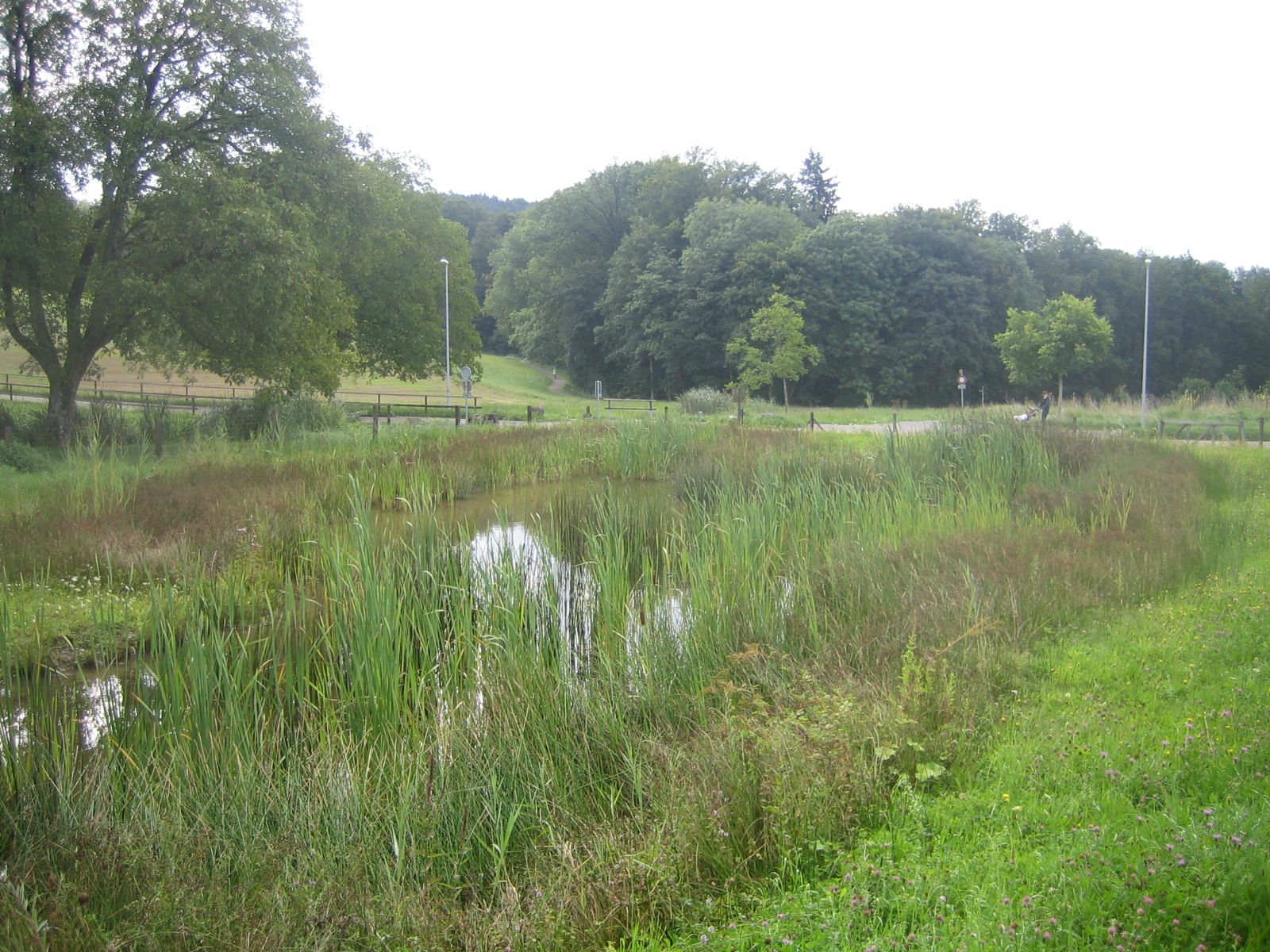 Lebensräume für Mensch und Natur