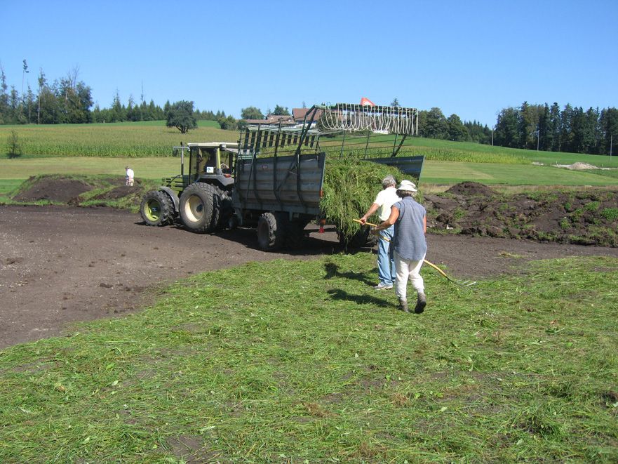 Kleiner Moorblauling am Pfannenstil