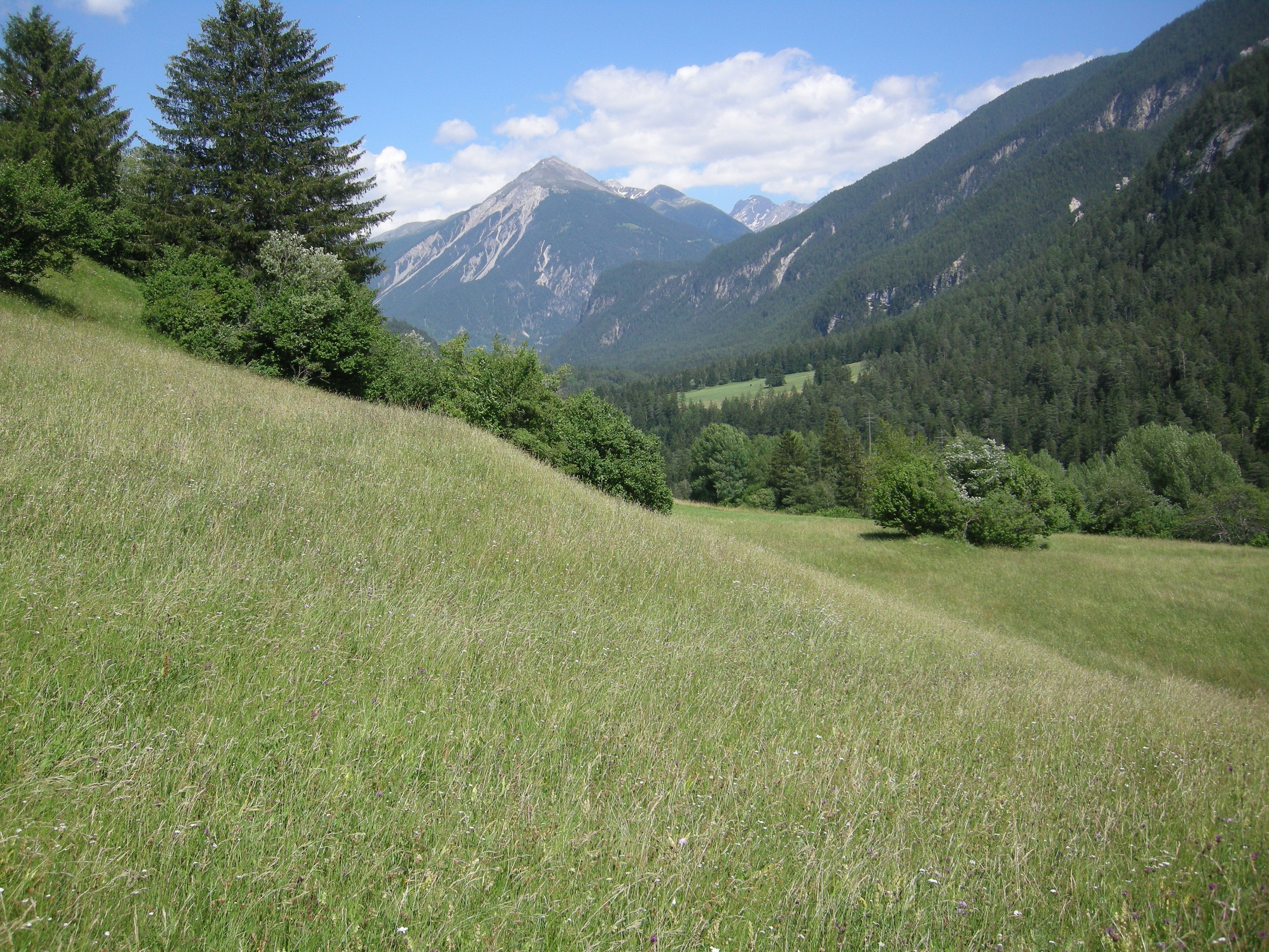 Vernetzungsprojekte Graubünden 