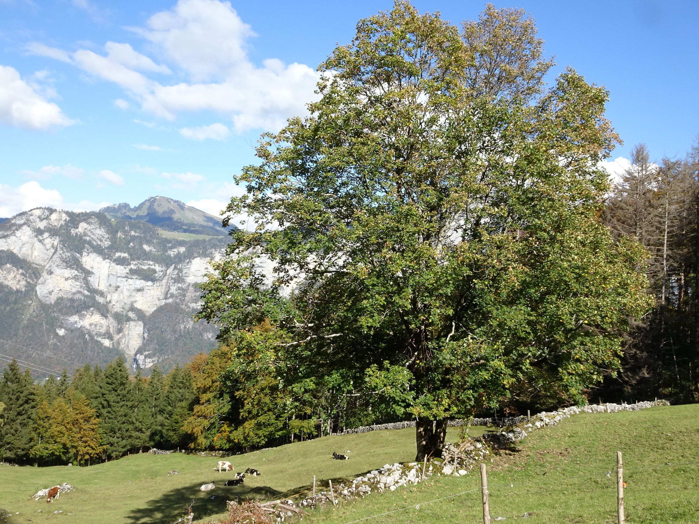 Lebensräume für Mensch und Natur