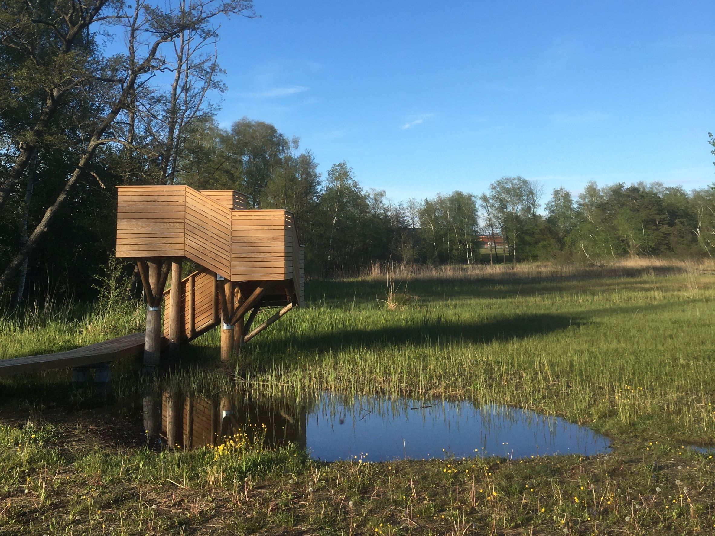 Moorregeneration Haslisee, Niederhasli 